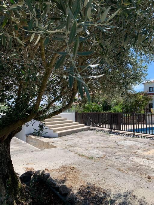 Casa Da Oliveira Villa Nelas Ngoại thất bức ảnh